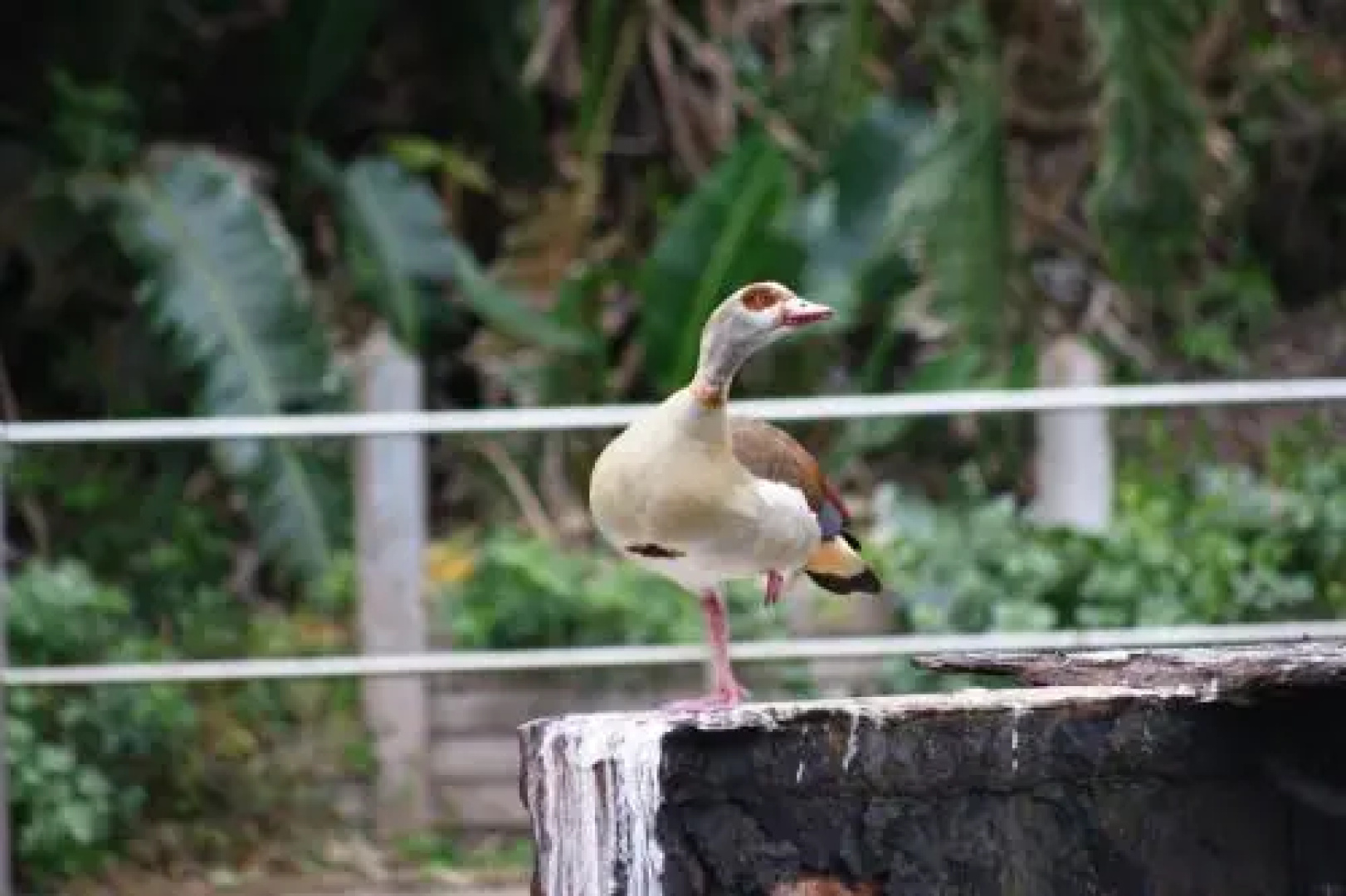 At 4 Umzumbe, Mangrove Beach Estate