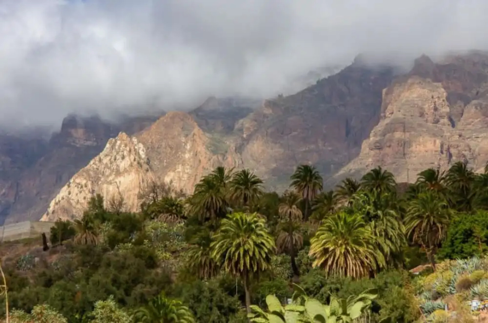 Apartment in Santa Lucía de Tirajana, 102561 by MO Rentals