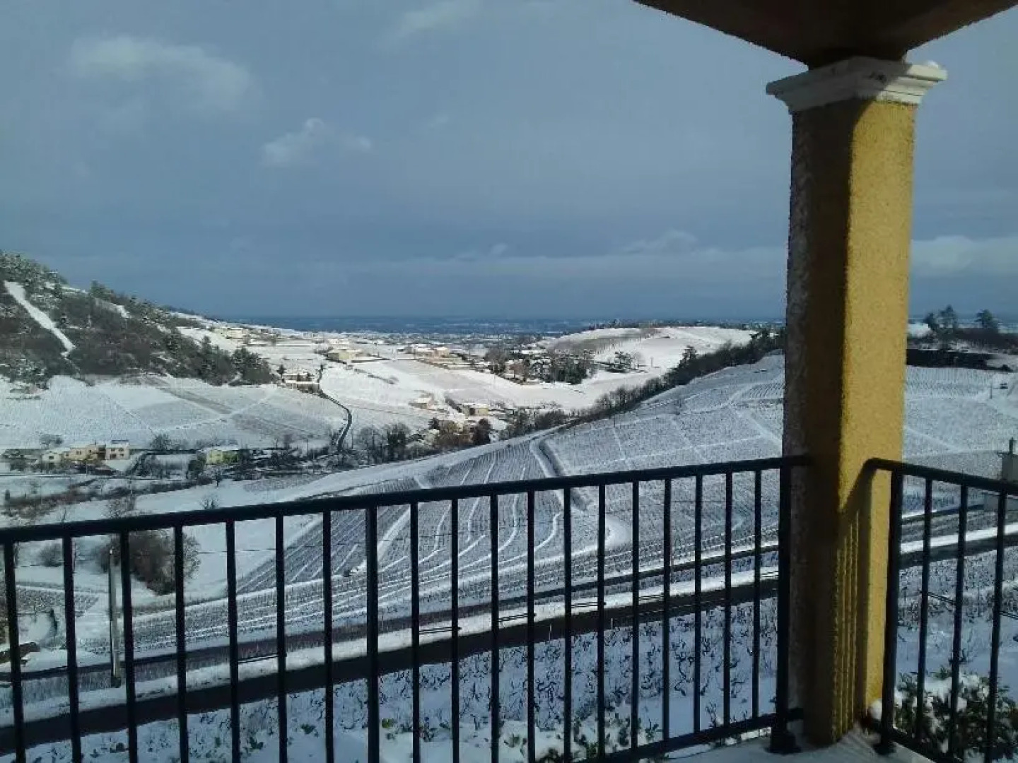 Domaine du Coteau Des Lys