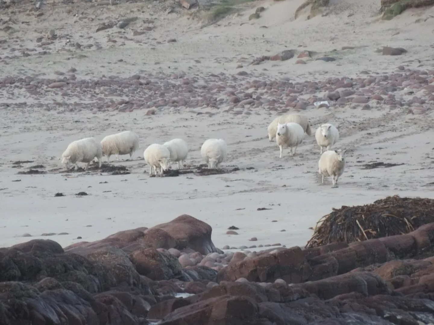 West Horizon Holiday Lodge, Beach 3 Minutes Walk