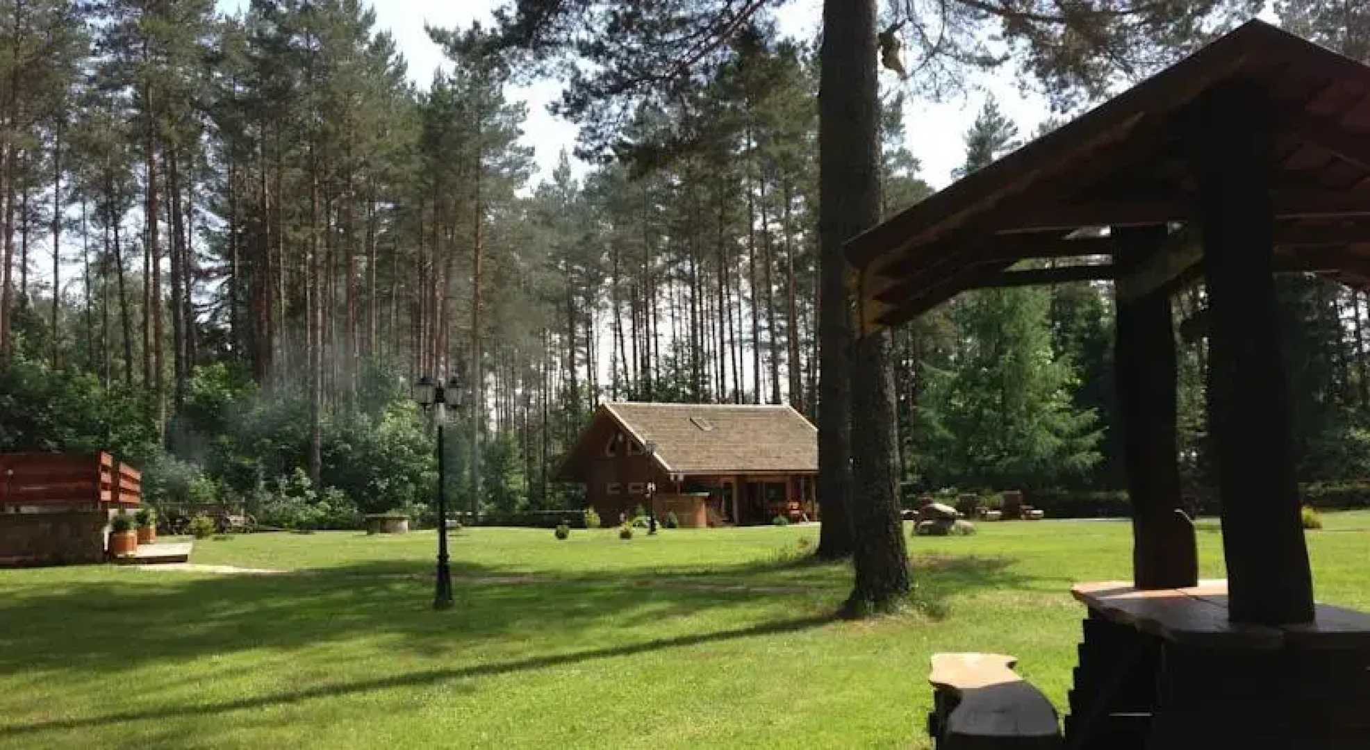 Žalioji