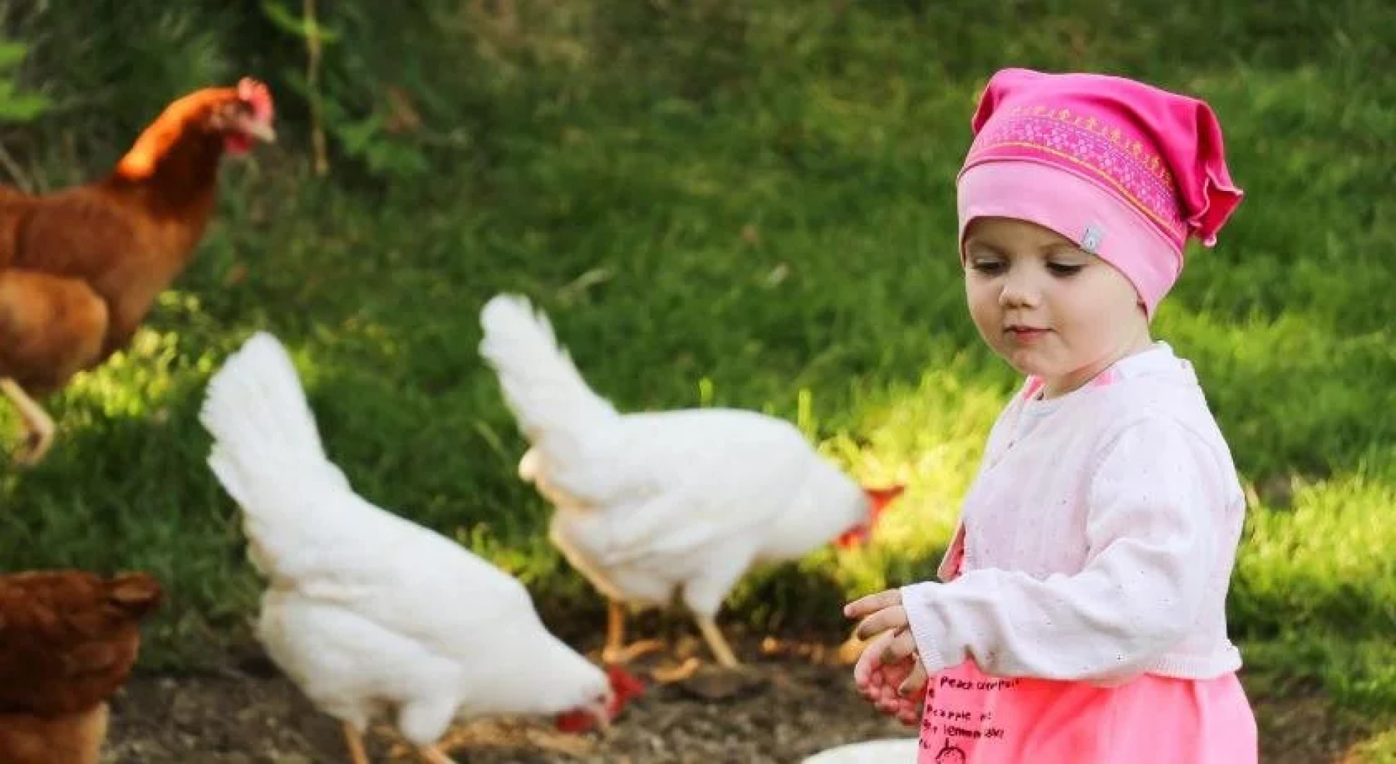 Berggasthof Hinterreit