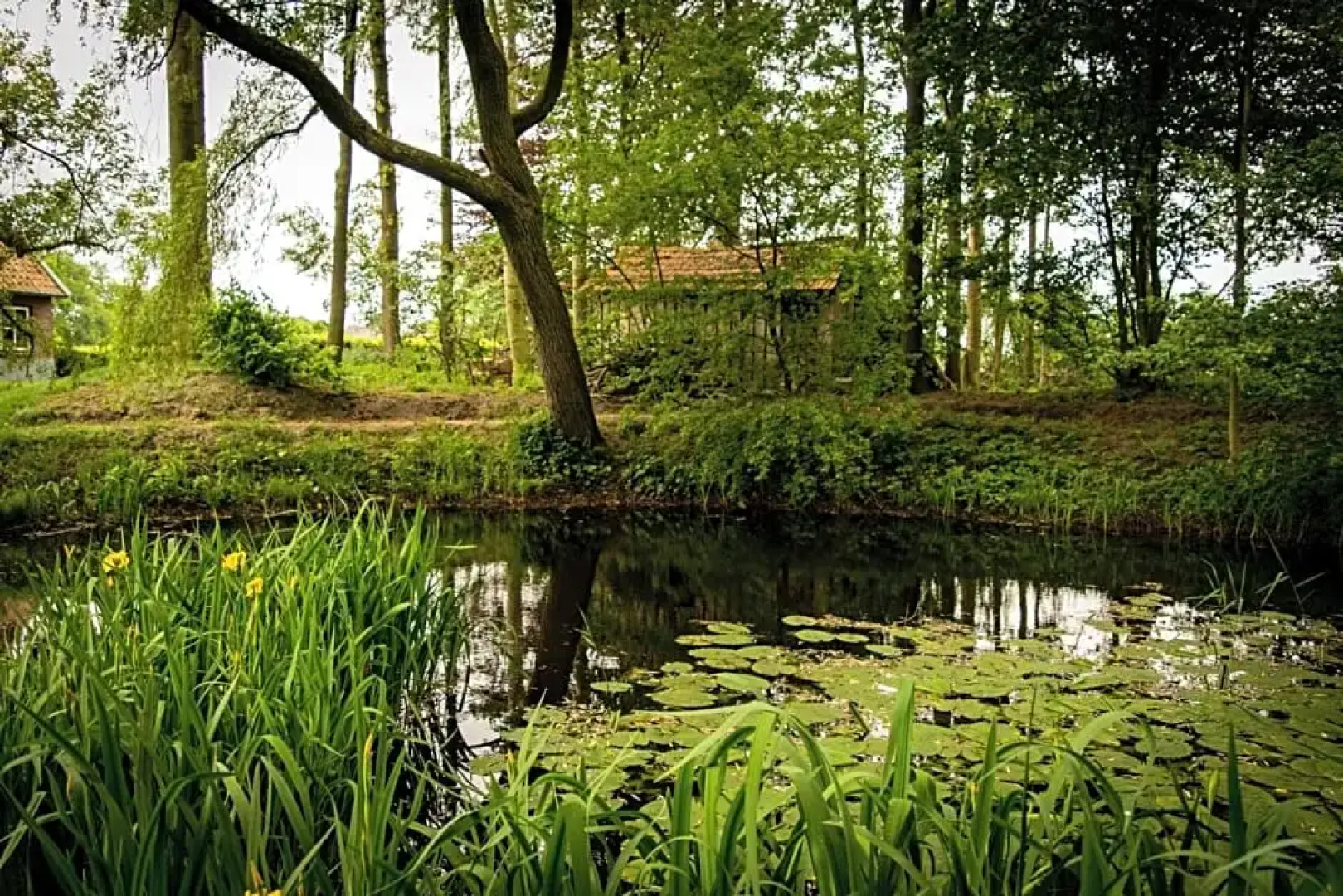 Thil's Bed and Breakfast