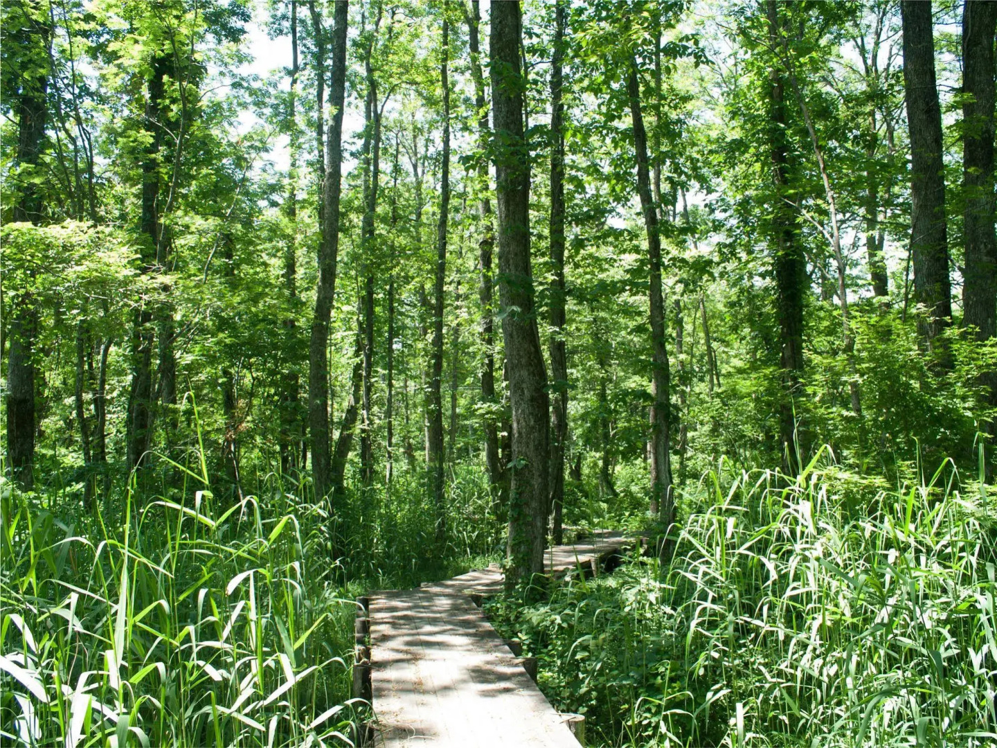 Mercure Urabandai Resort & Spa