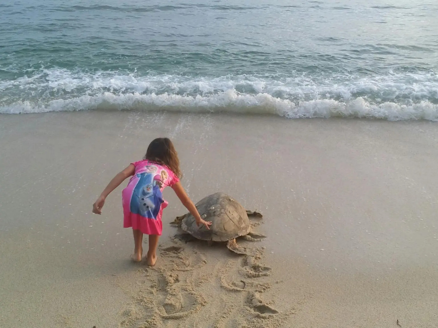 Trikora Beach Club & Resort