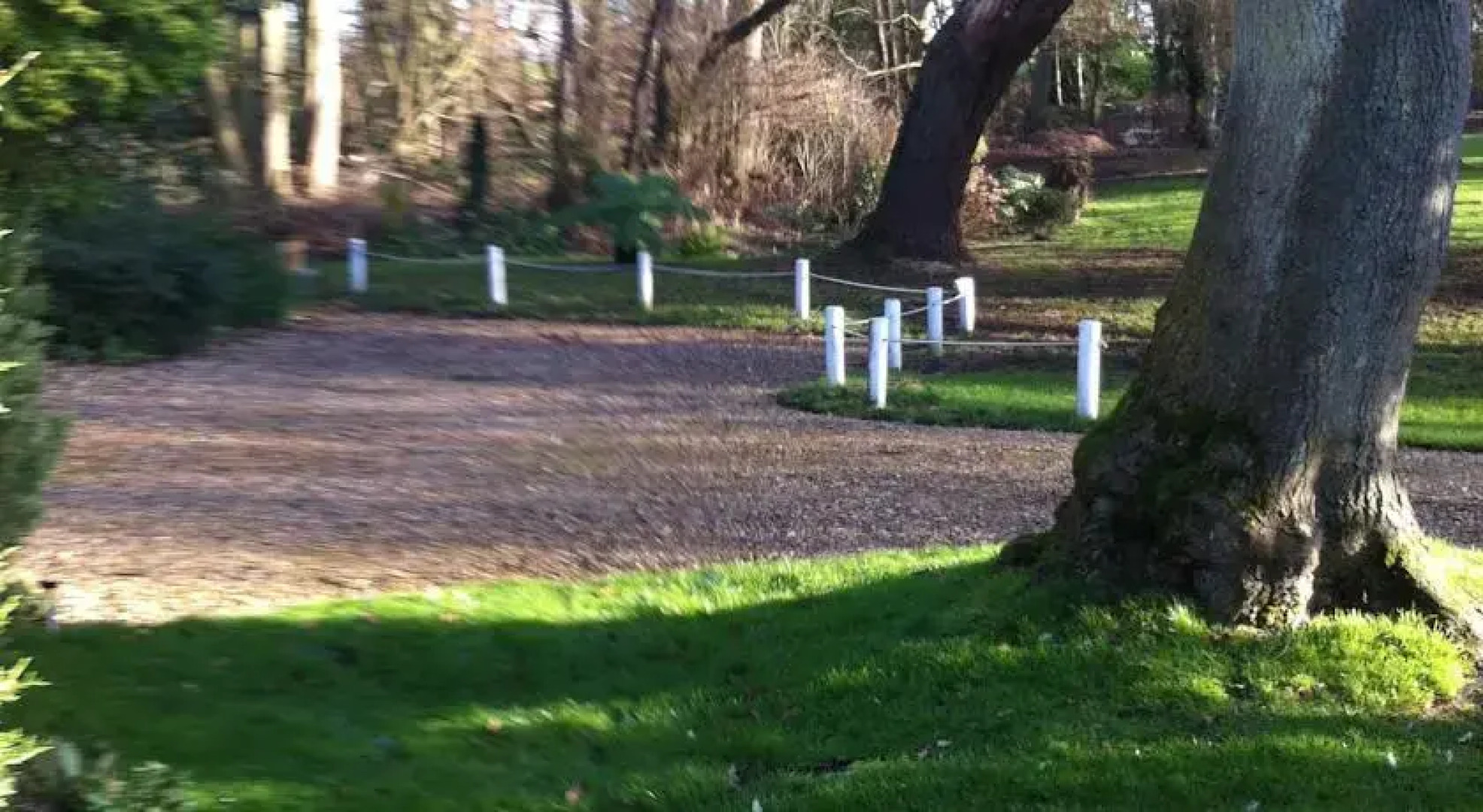 Thatched Farm Bed and Breakfast