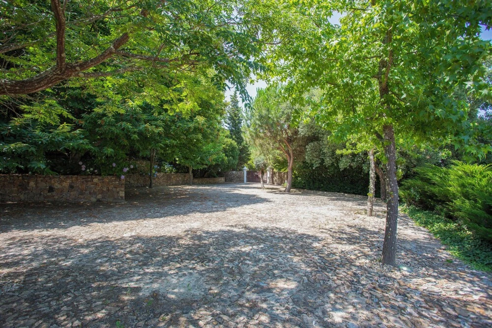 Local 9 - Casa do chapim azul