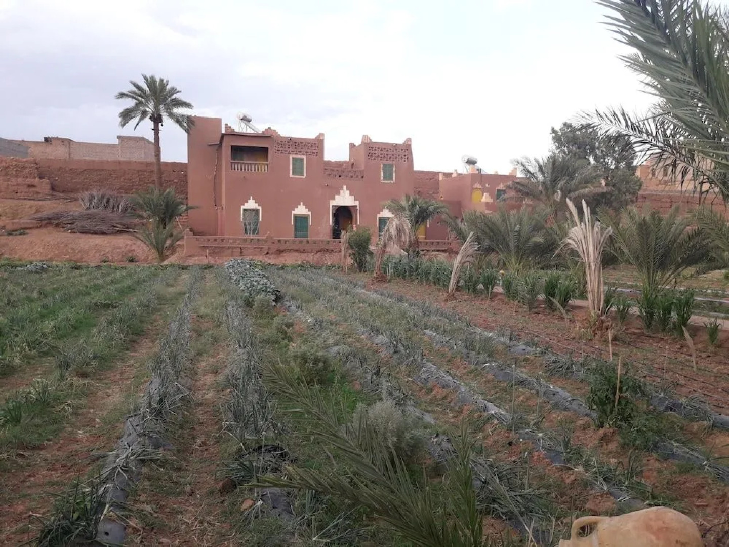 Auberge Jnanedar Diafa