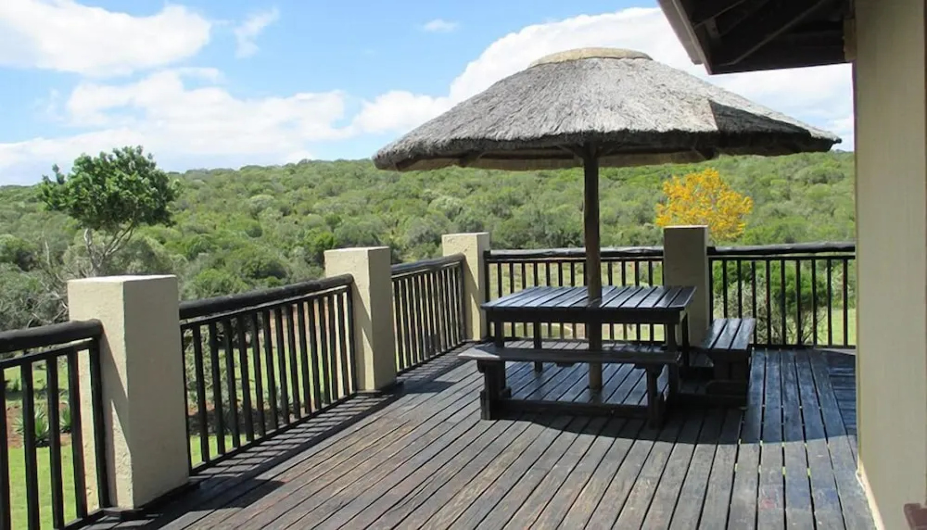 Aloe and Elephant Lodge