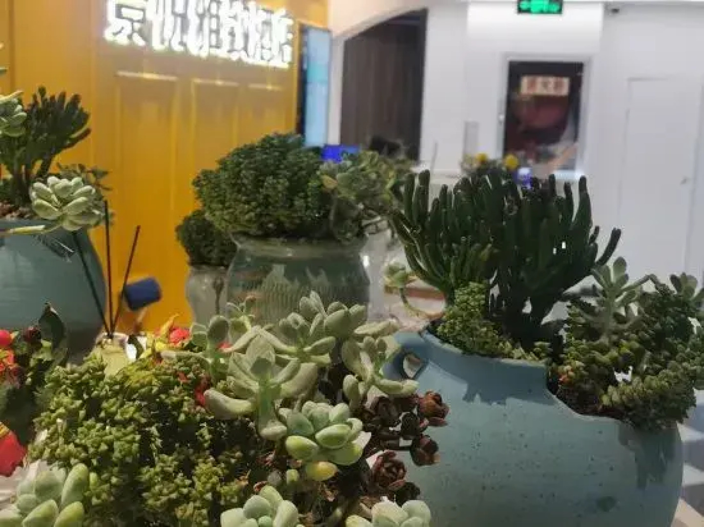 Jingyue Elegant Hotel