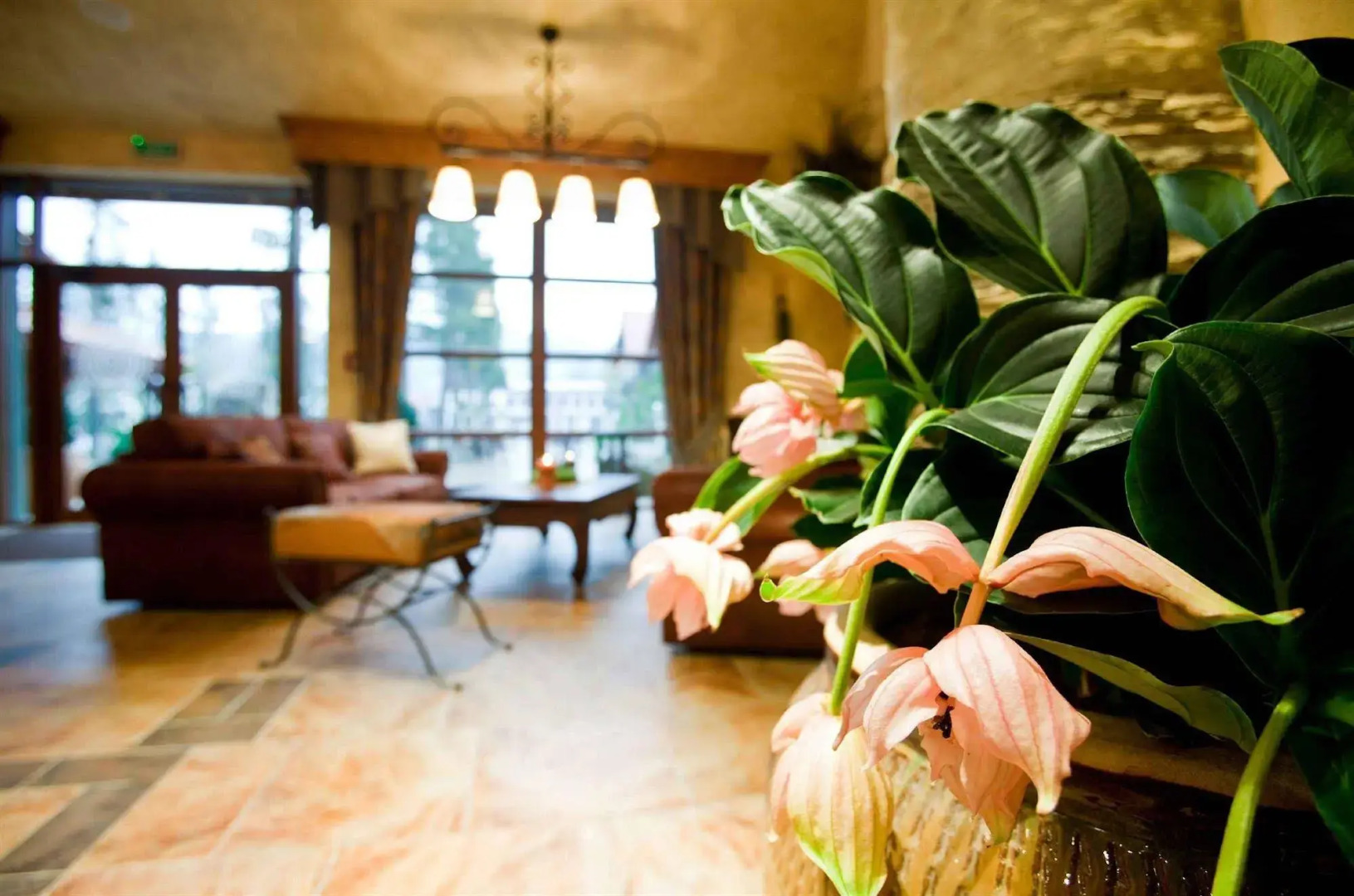 Hotel Kotarz Spa & Wellness