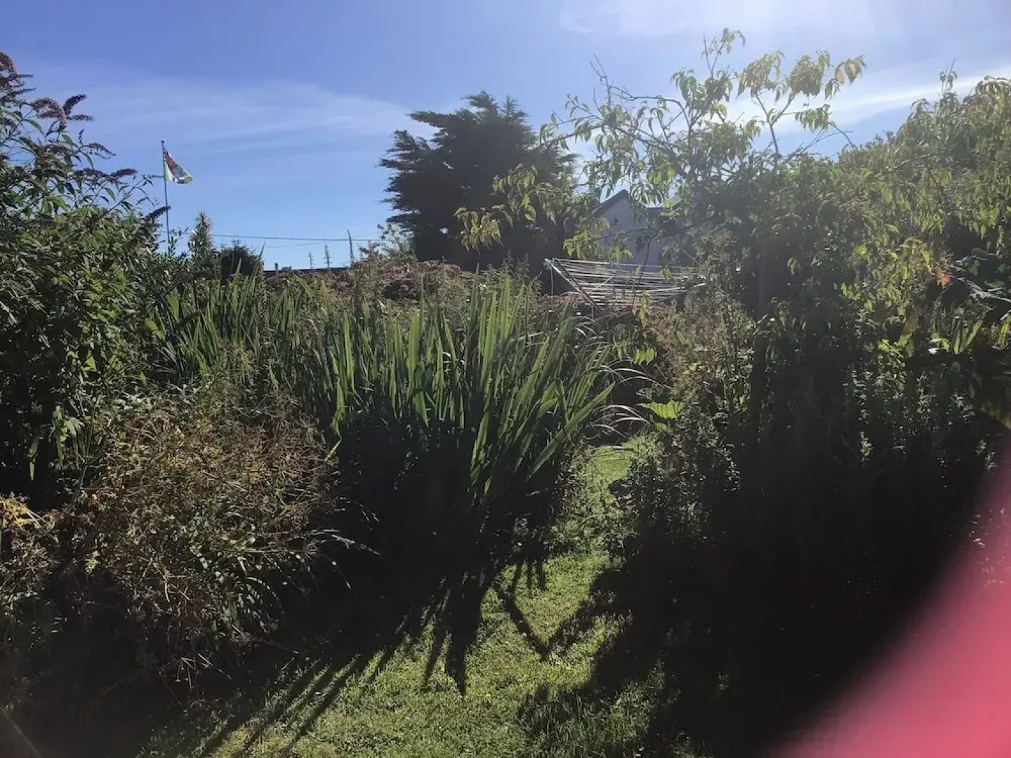 Wellspring Cottage nr Kynance Cove