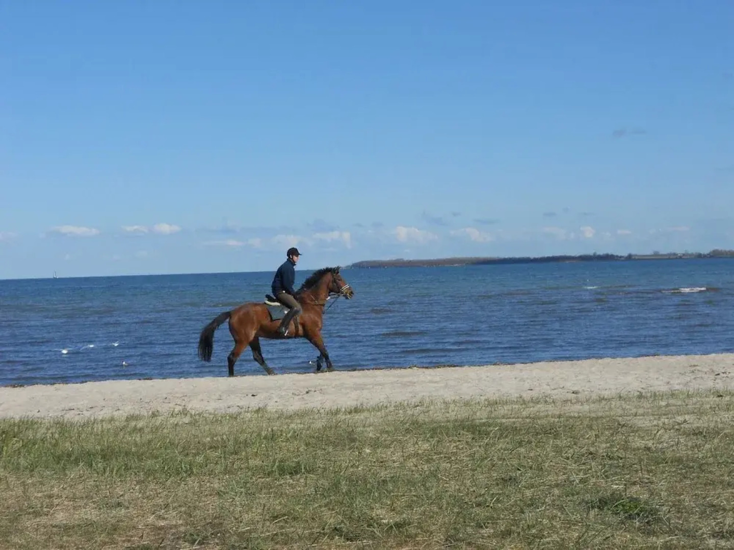Escape Near Baltic Coast