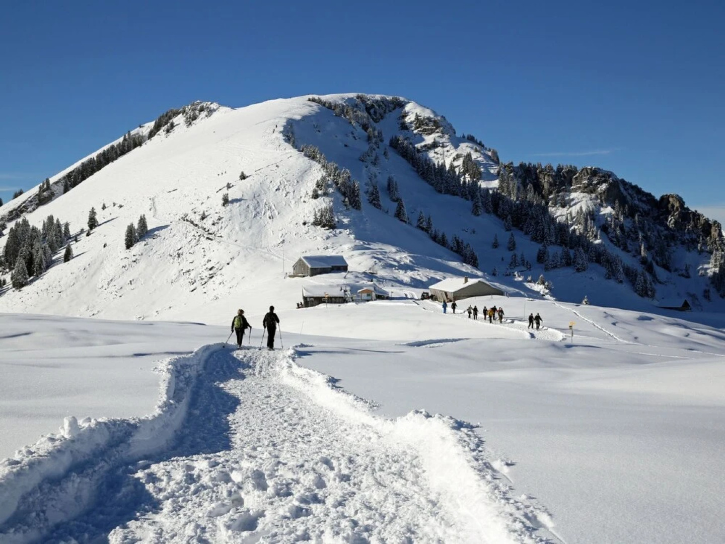 Apartment Sunner sli Amden