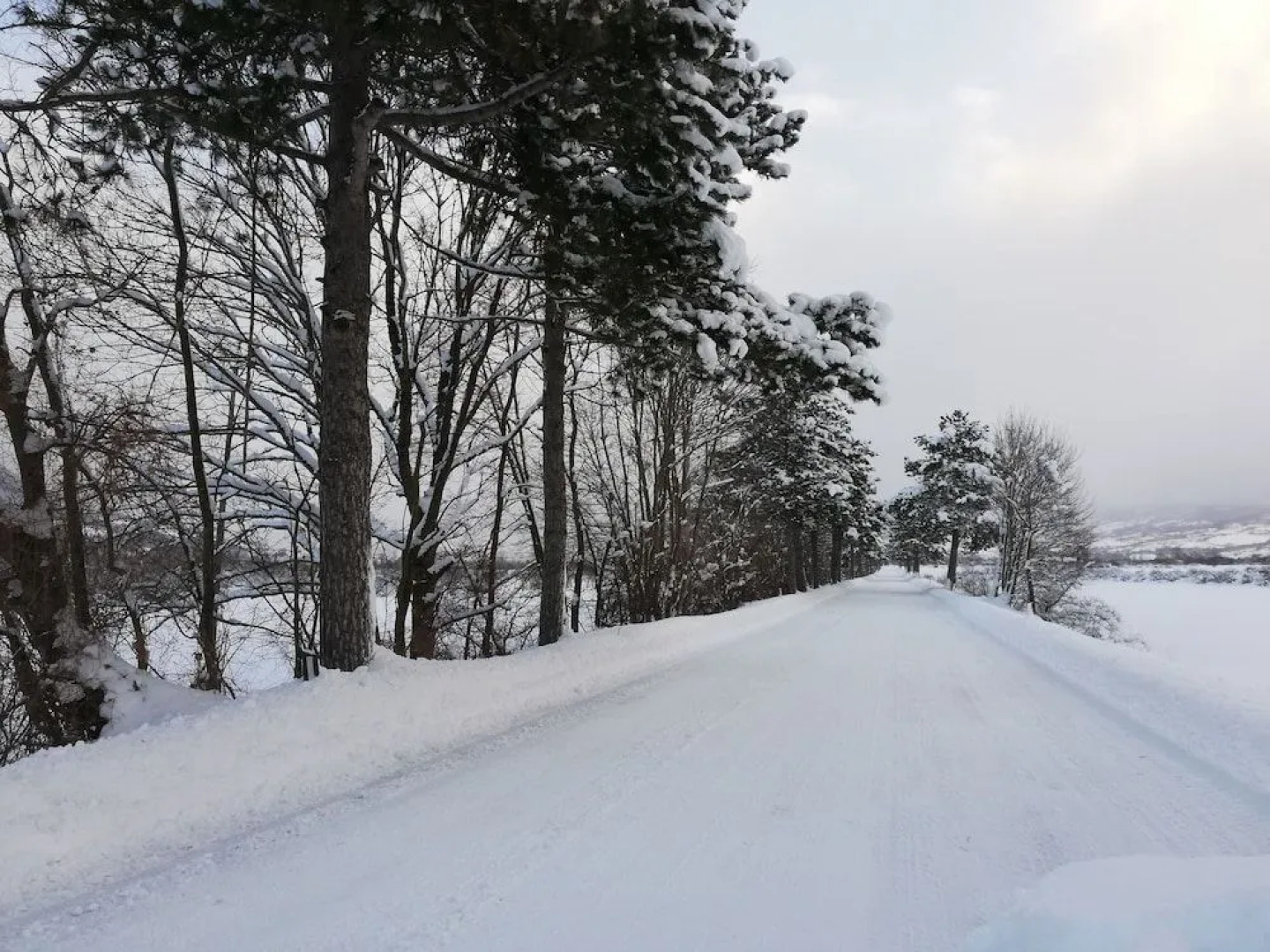 Monte Marsicano Hotel