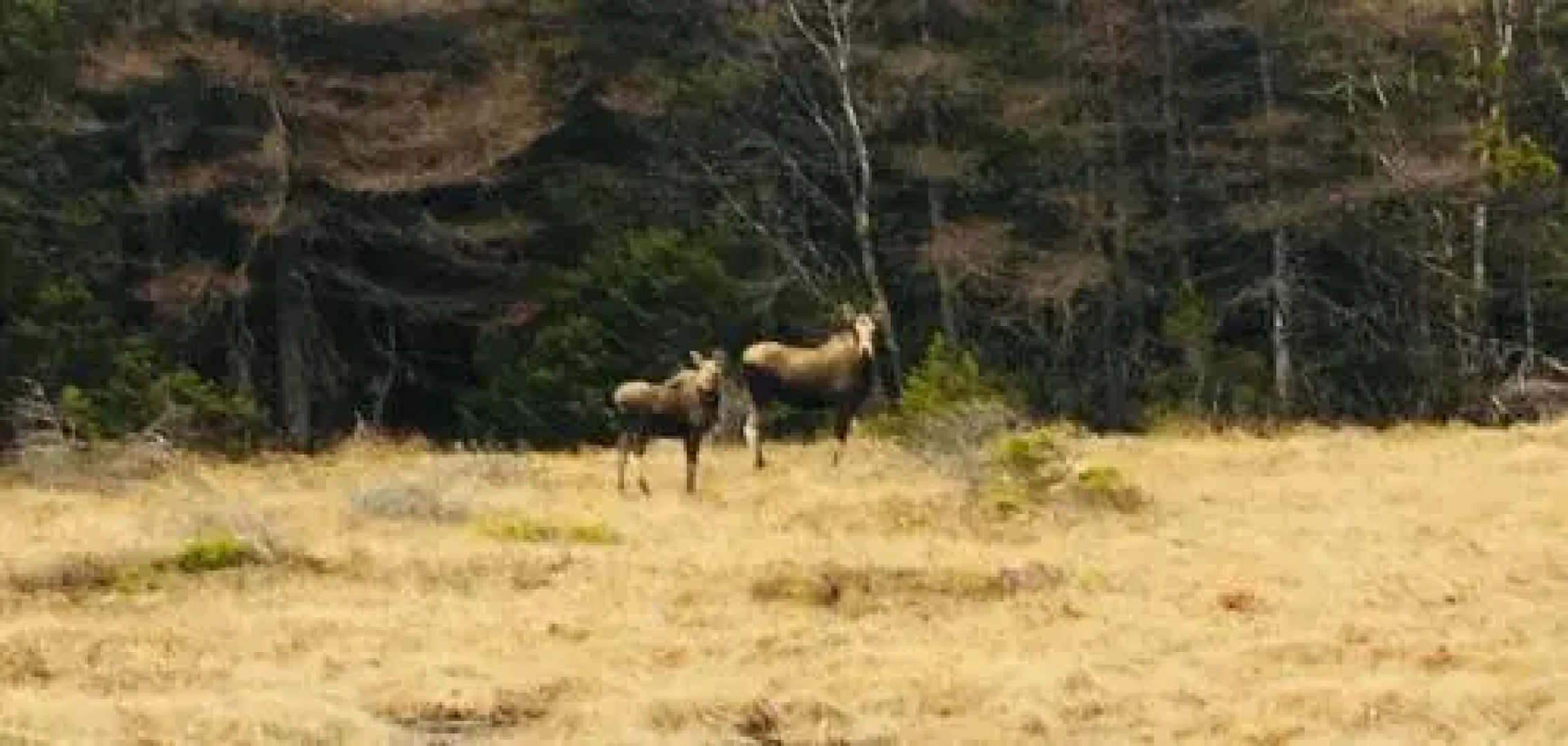 The Convent Guesthouse