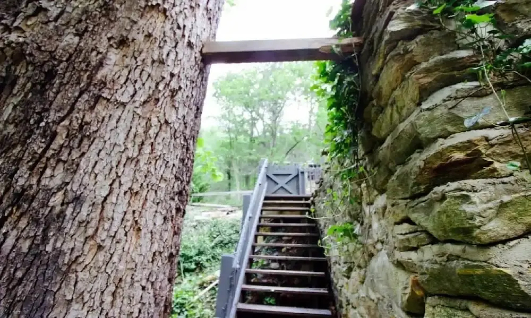 The River House at Chimney Rock