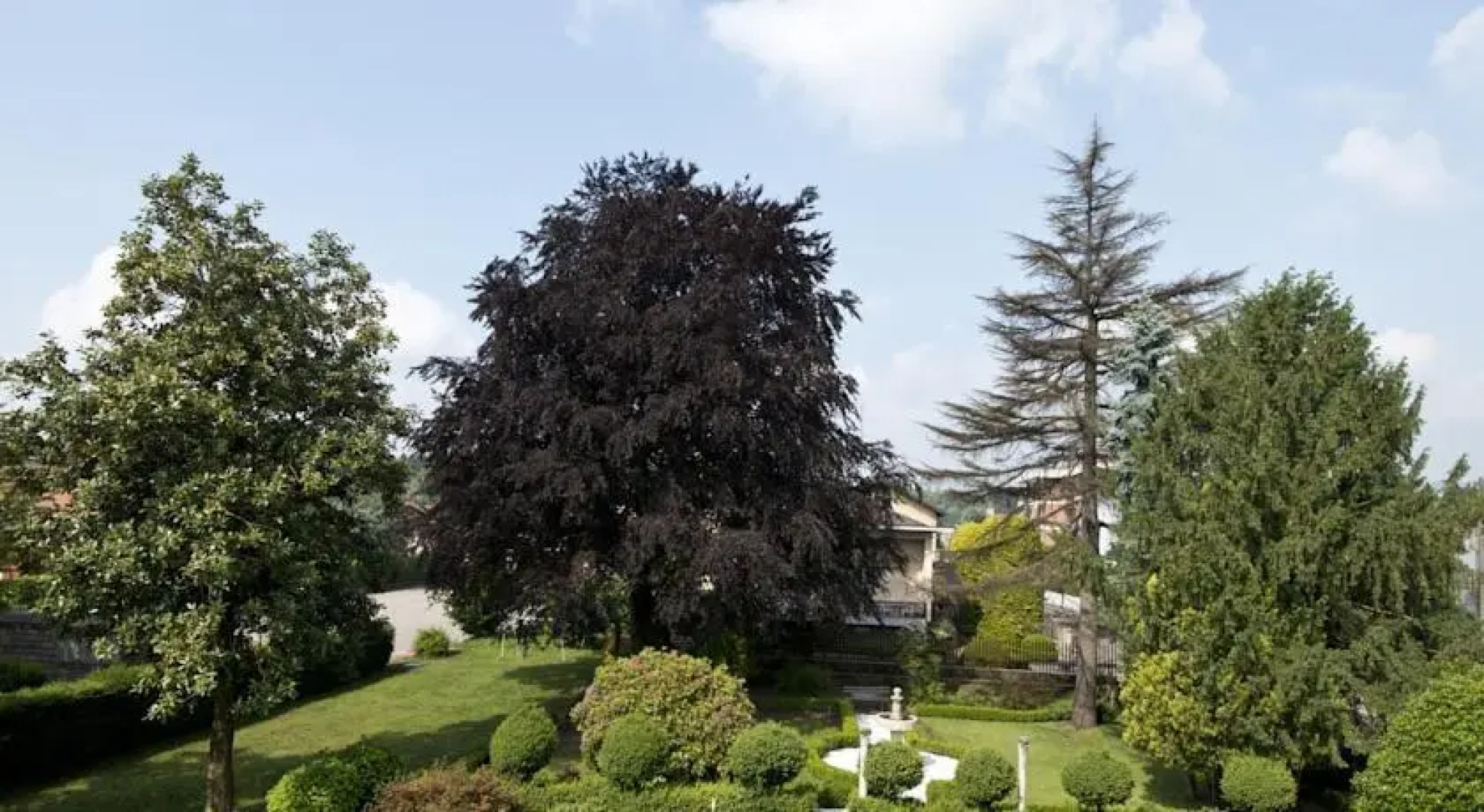 La Casa Del Faggio
