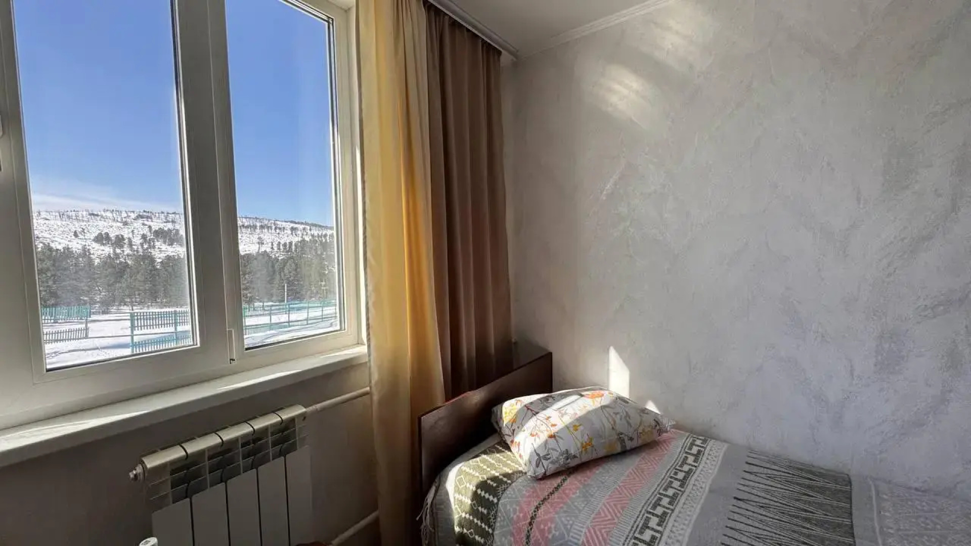 Кедр Золотой