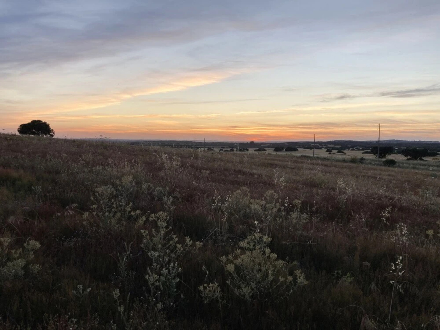 Montimerso Skyscape Country House