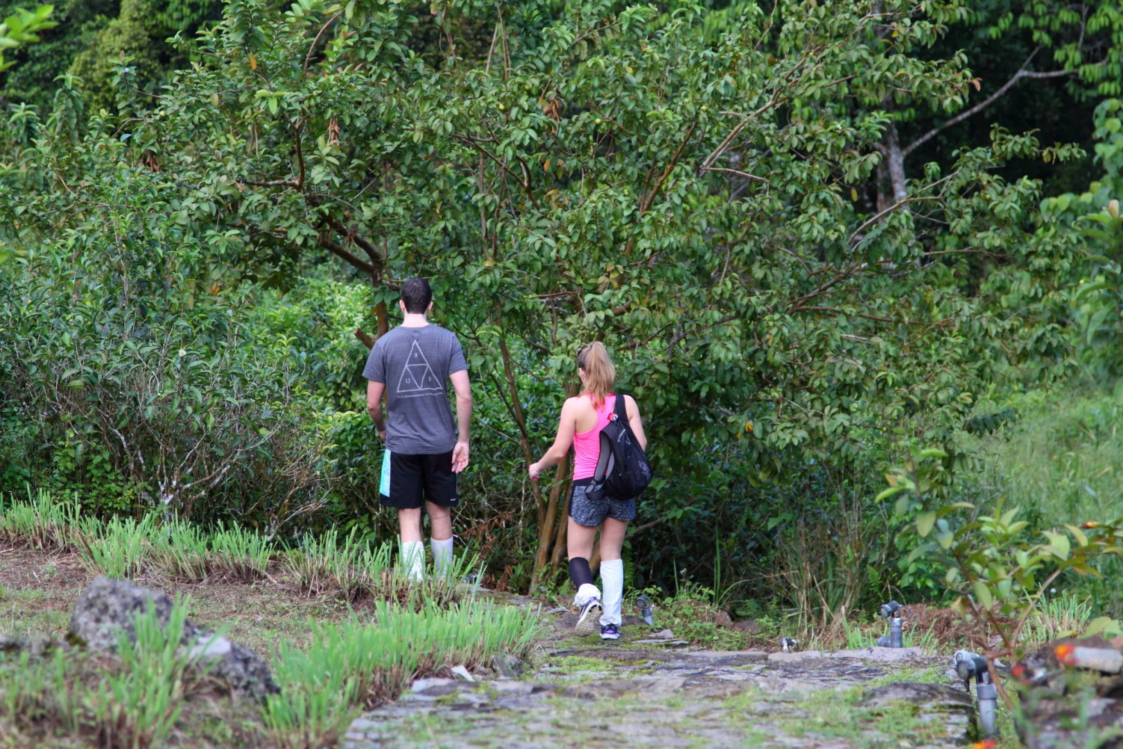 The Rainforest Ecolodge