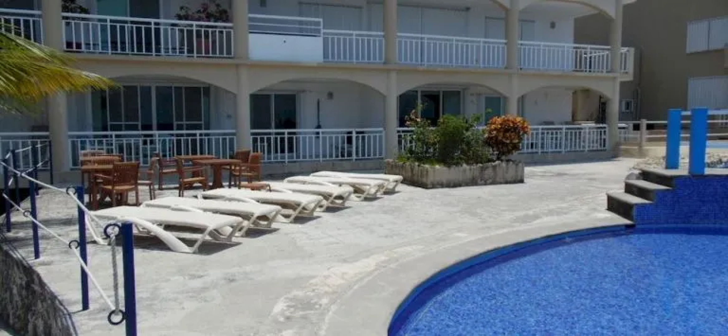 Penthouse Coconut