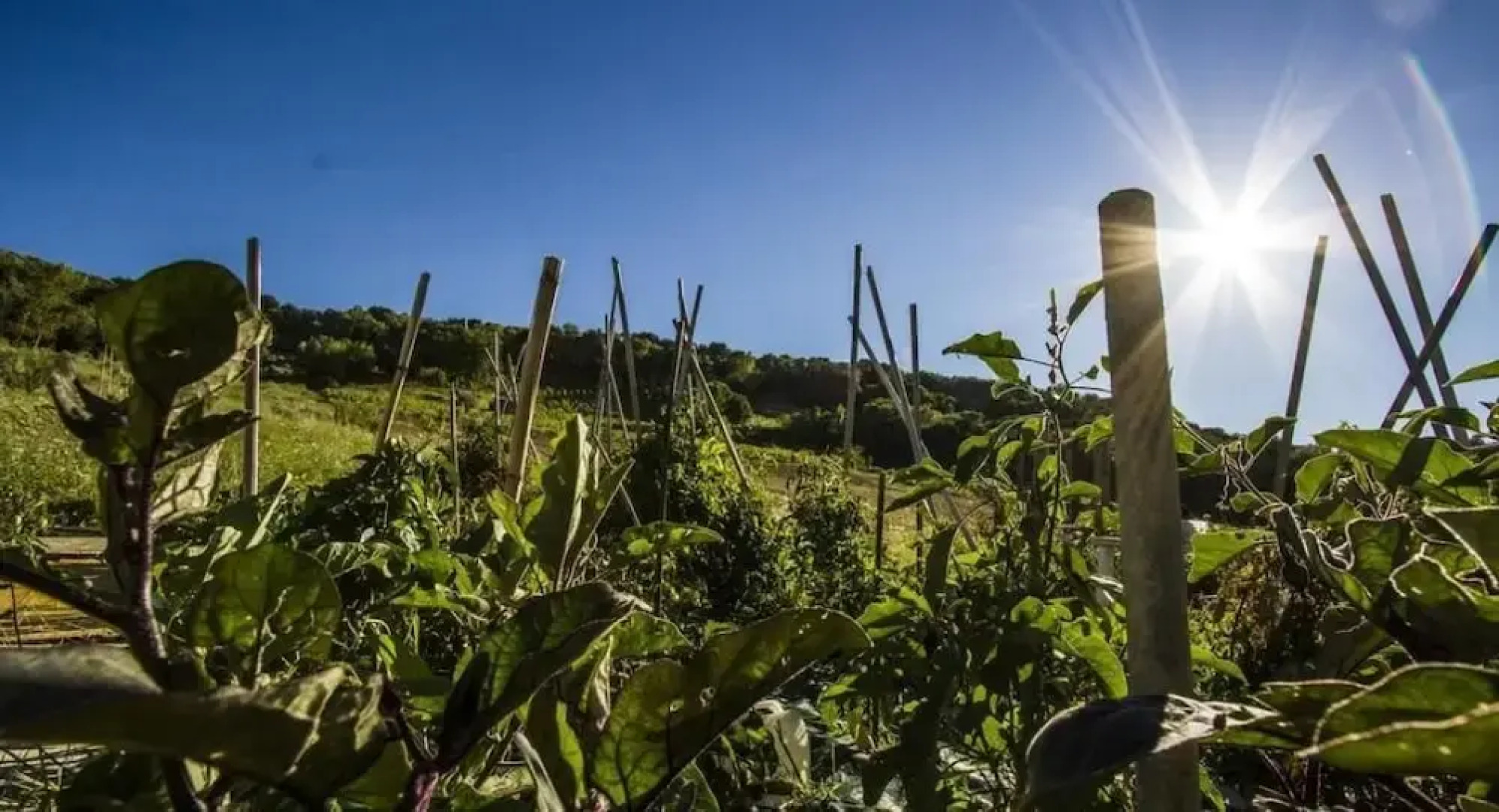 Agriturismo La Casa nel Cielo