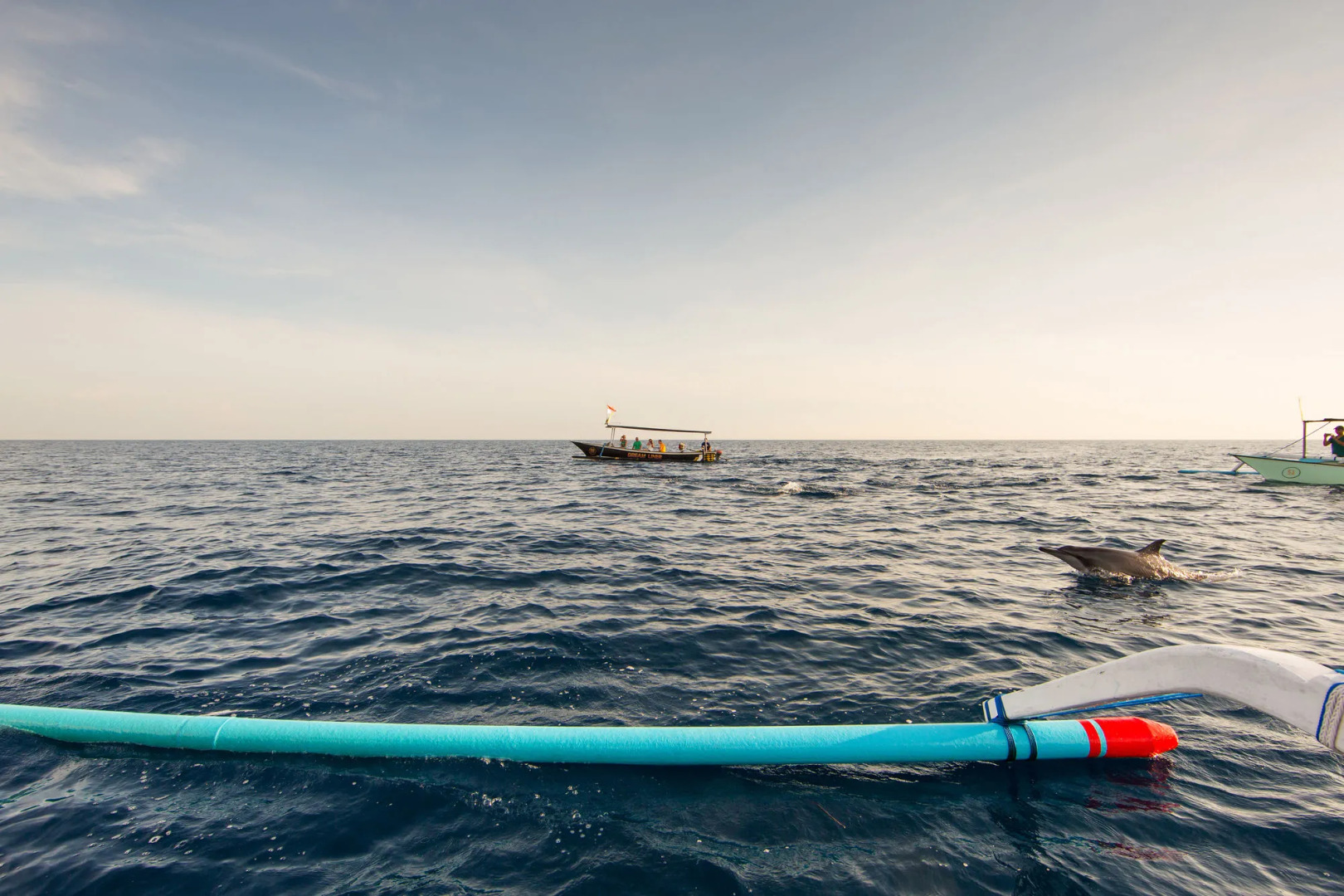 Odika Lovina House and Villa