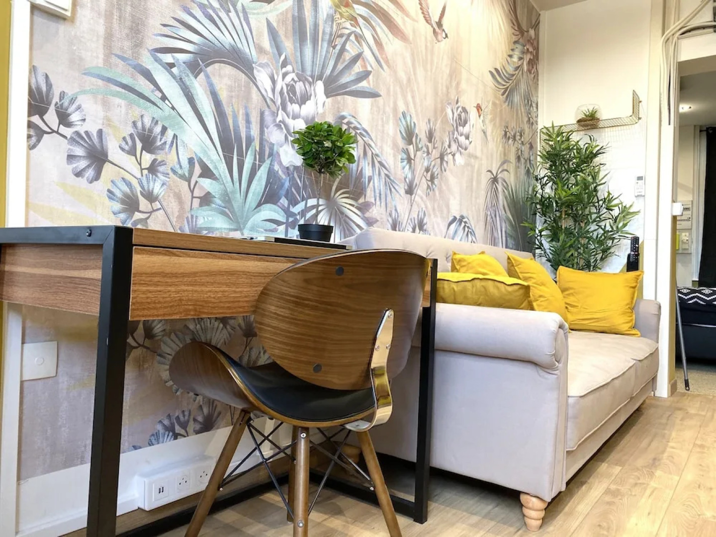 Capsule Premium Valenciennes