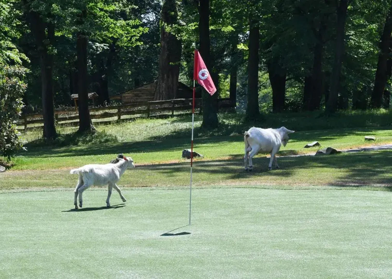 Lovecký Zámeček Šilheřovice