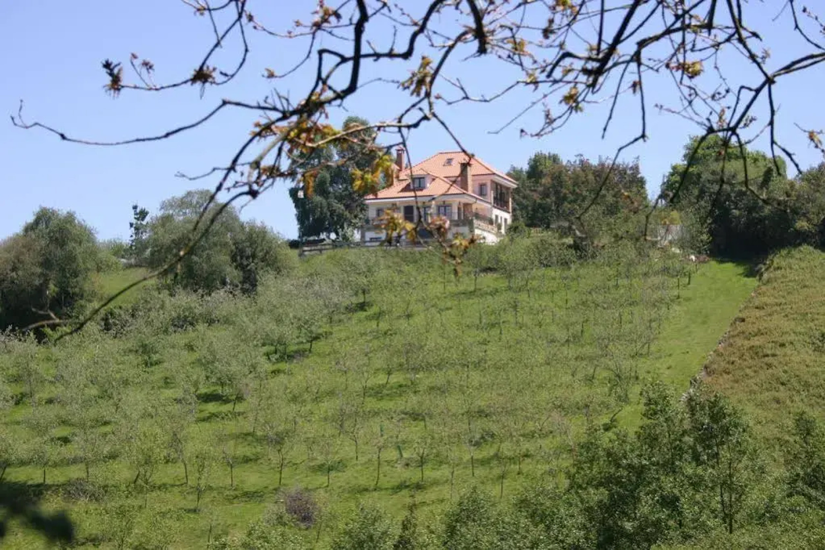 Somonte