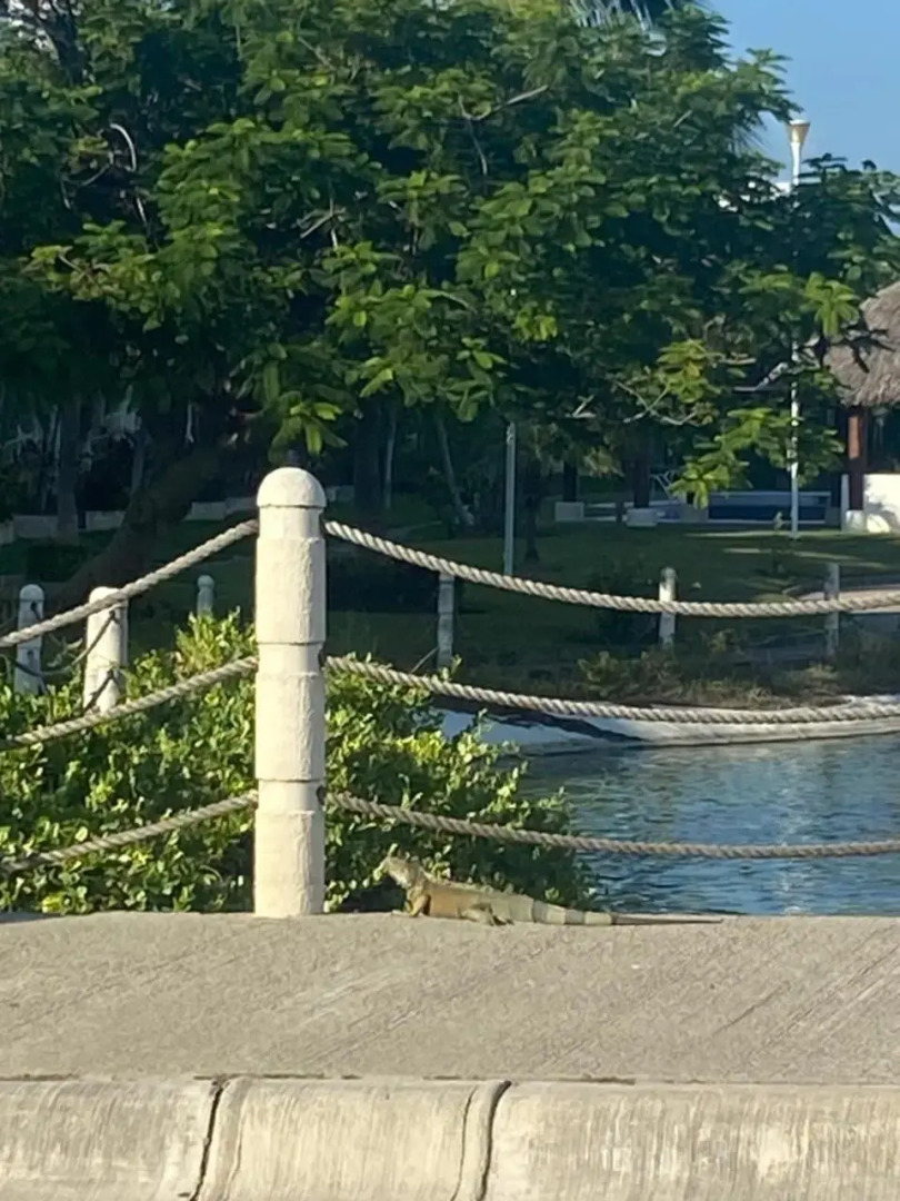 Marina Diamante Condominio Durymar