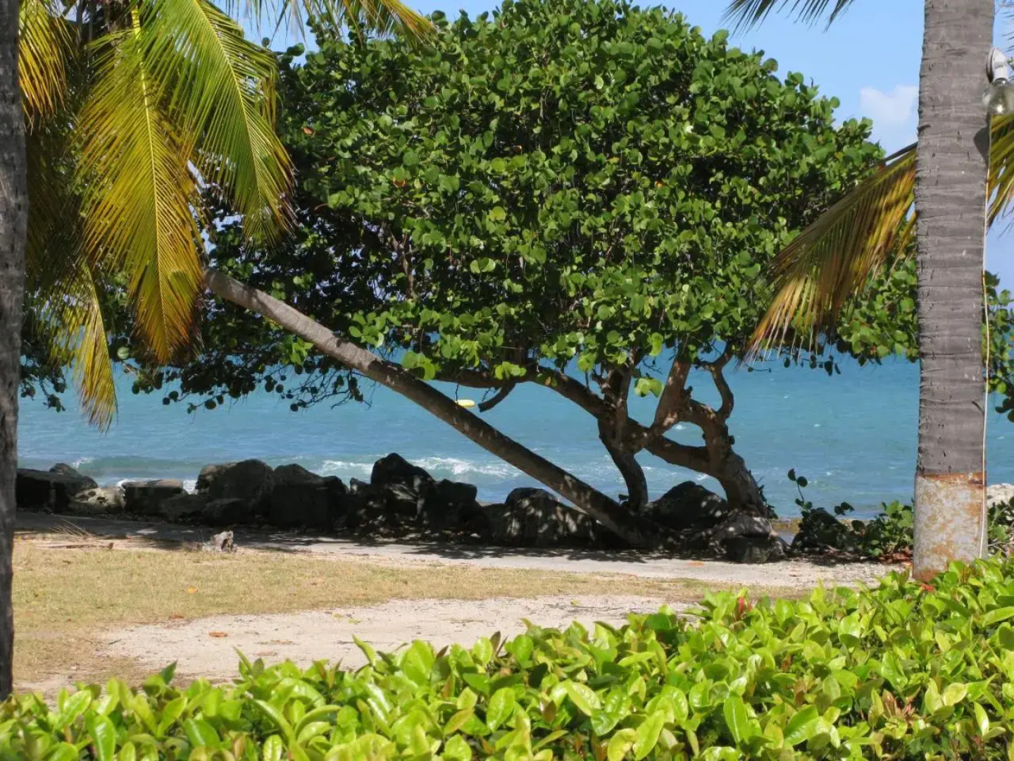 Tamarind Reef Resort Spa & Marina