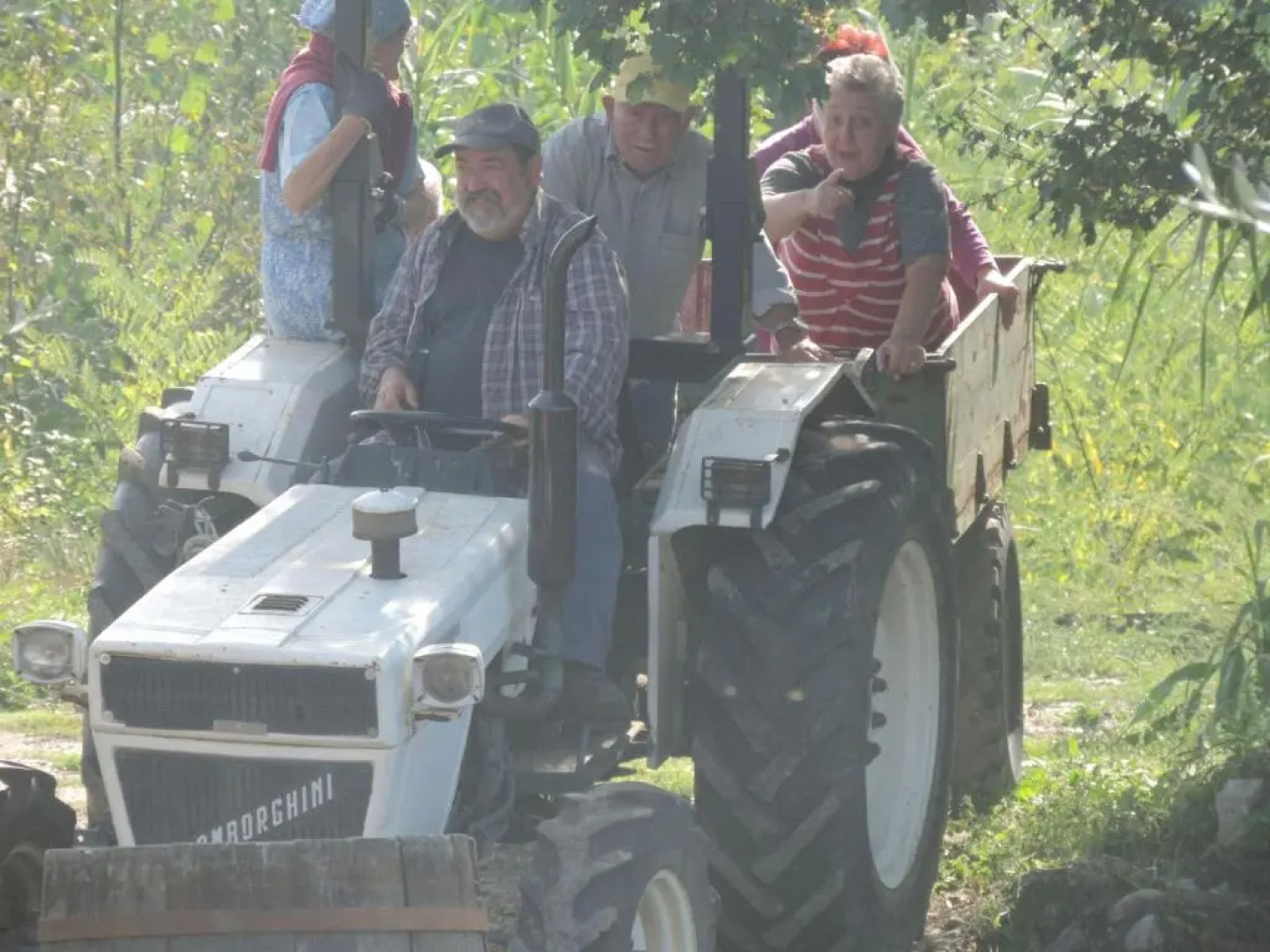 agriturismo il poderetto