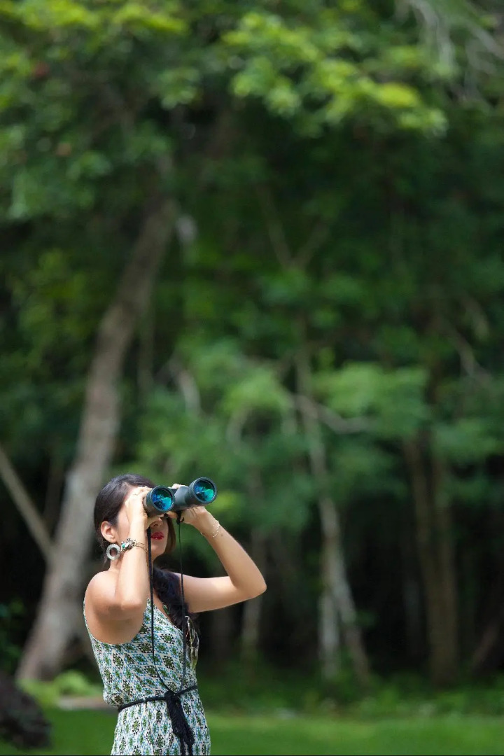 Hotel Villas Chicanna