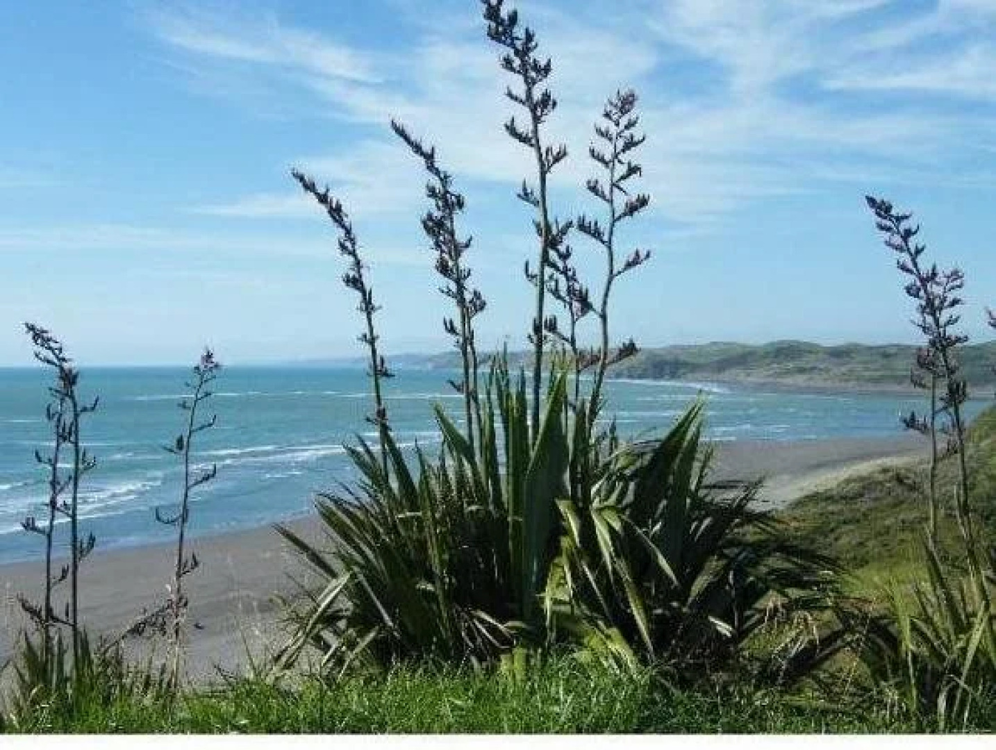 Foxgloves Bed and Breakfast