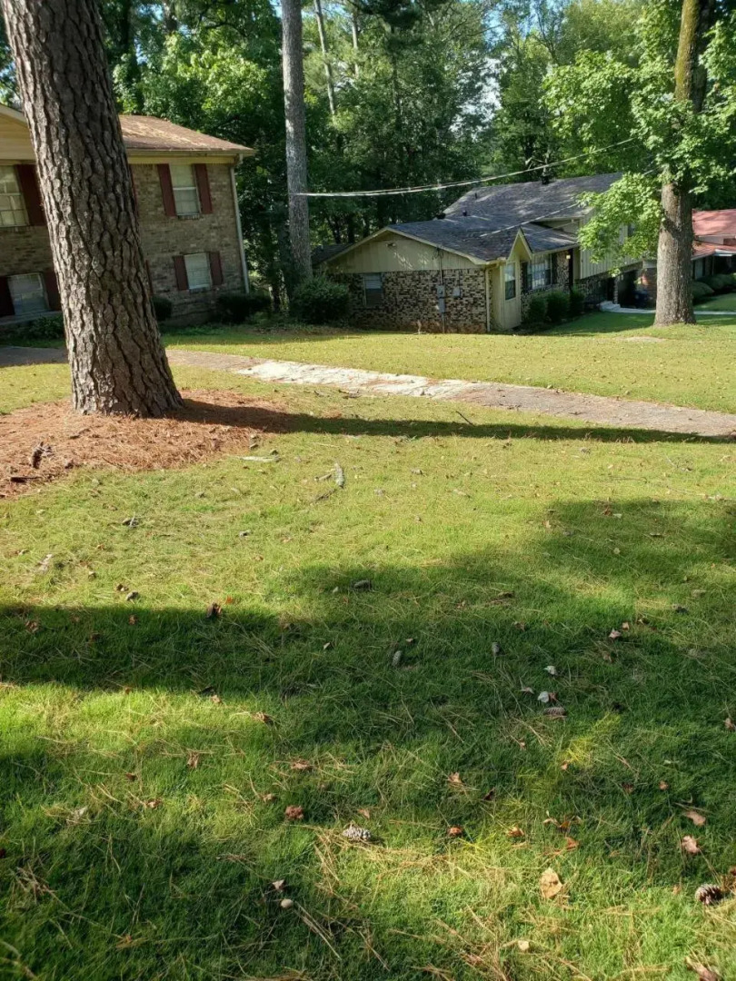 The Monterey Maison-20min N of Downtown, 6BR