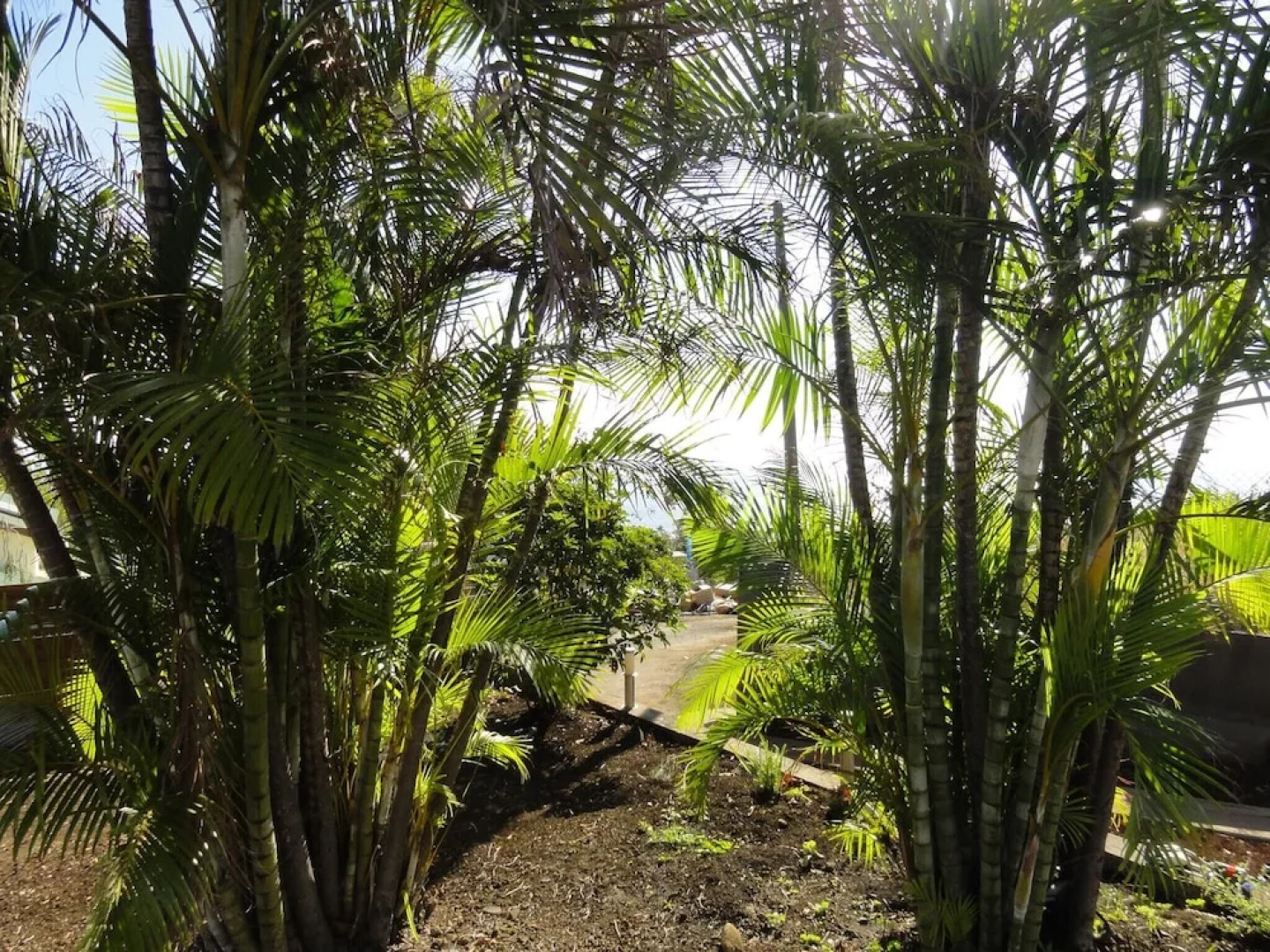Studio in Piton Saint-leu, With Wonderful sea View, Pool Access, Enclo