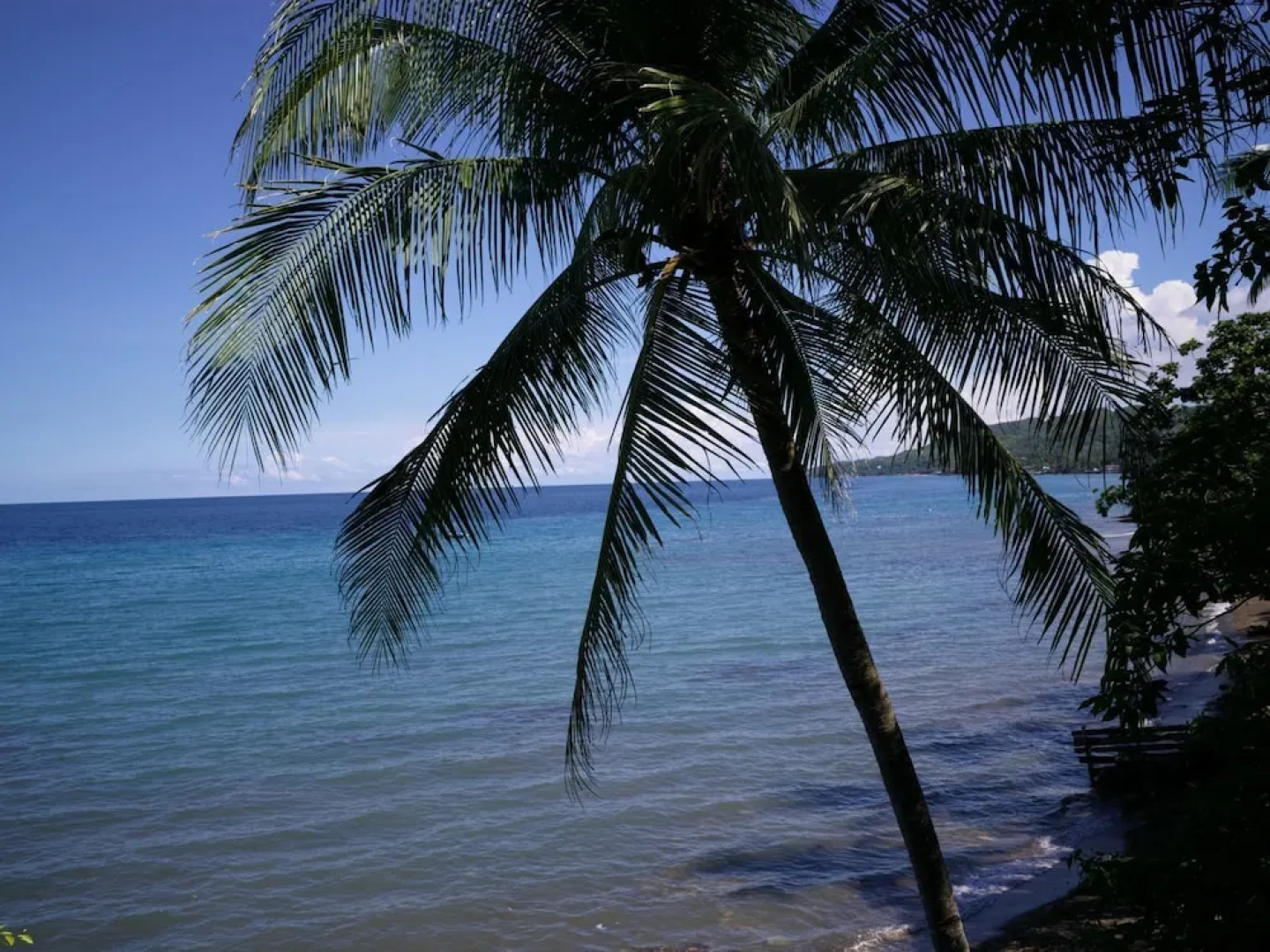 Las Flores Country & Beachside Hotel