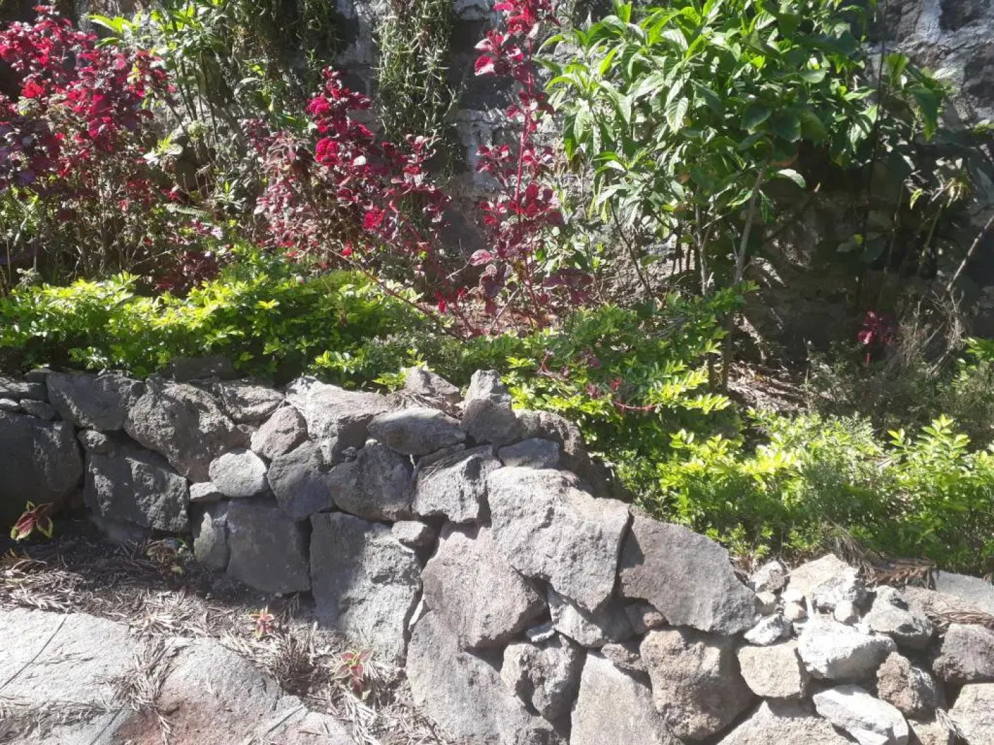 Hotel y Bungalows ecologicos Marcelo