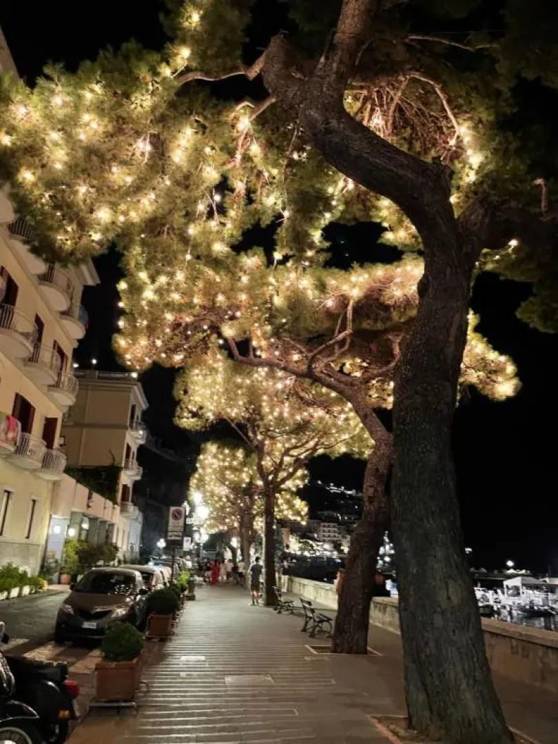 Giardino Del Vesuvio, Pompei