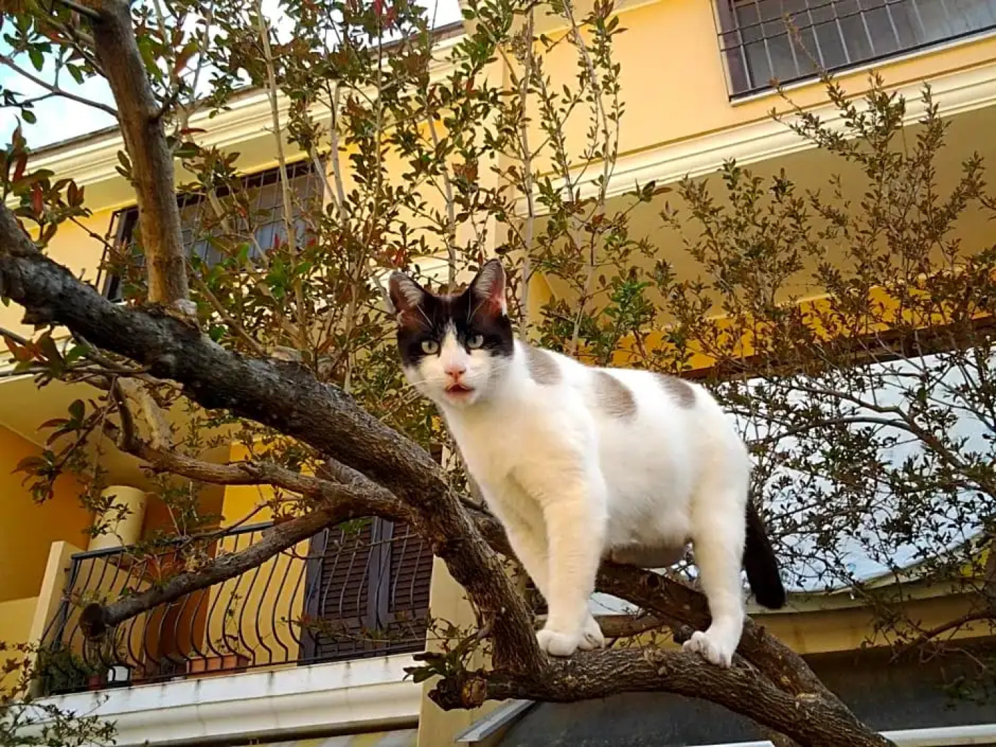 Bed and Breakfast Il Sole