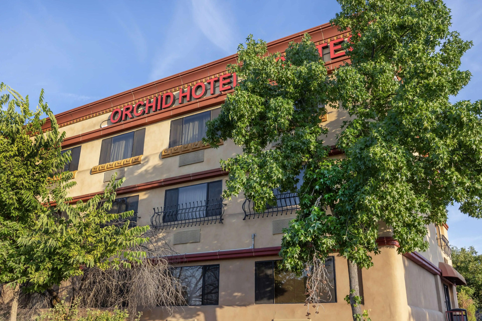 Best Western Plus Orchid Hotel & Suites