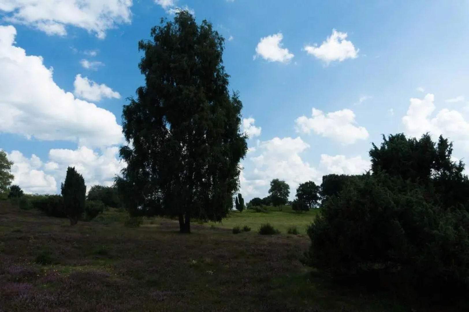 Zum Hoambarg, Kitchen, Balcony, Bathroom