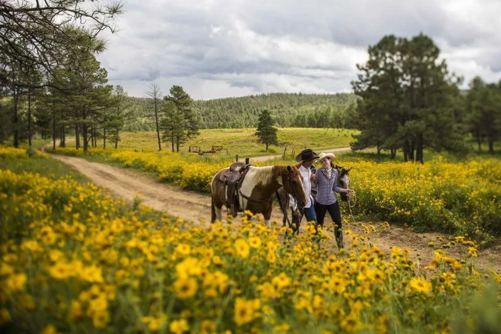 Inn of the Mountain Gods Resort and Casino
