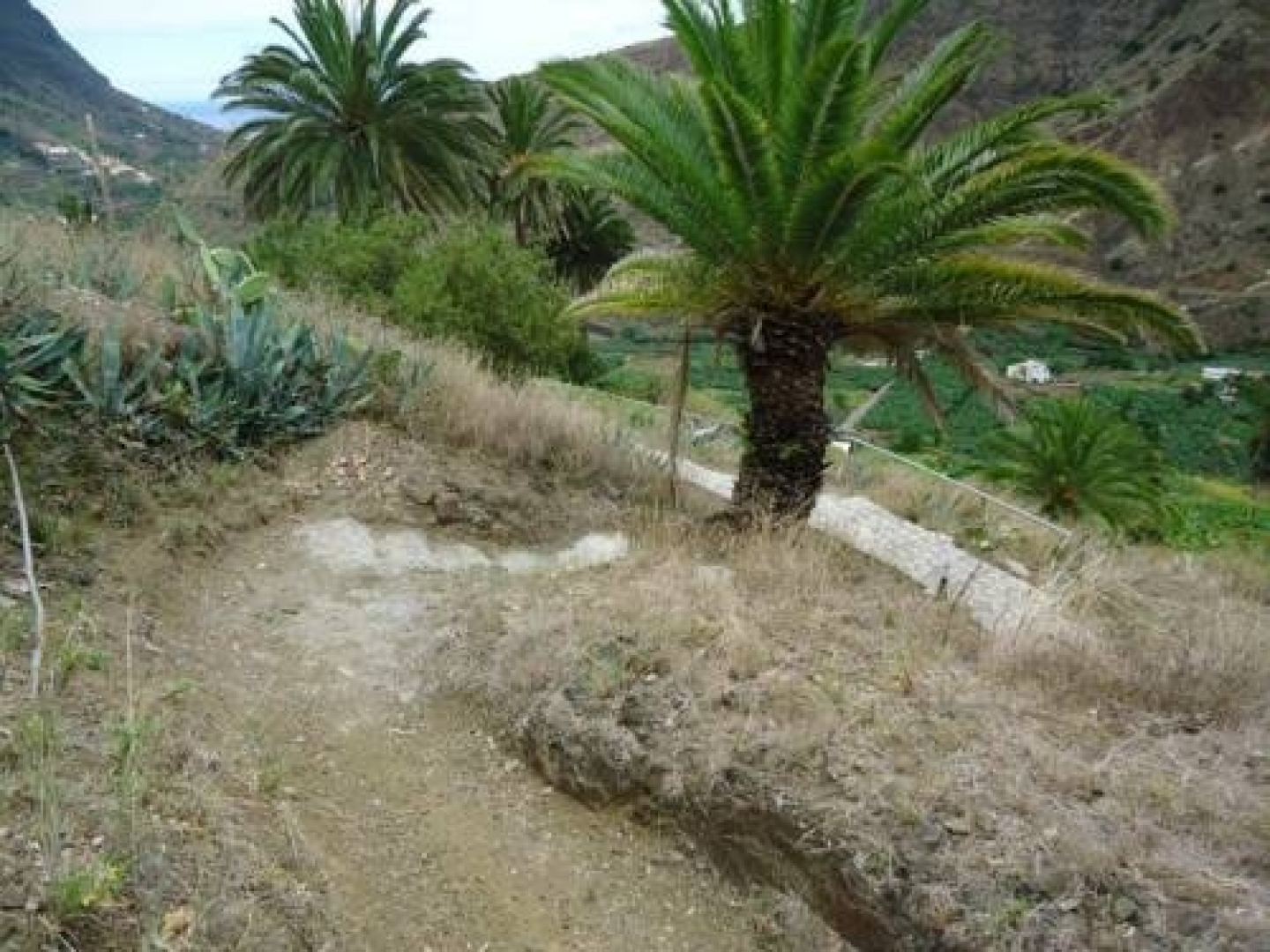 Casas Rurales Hermigua