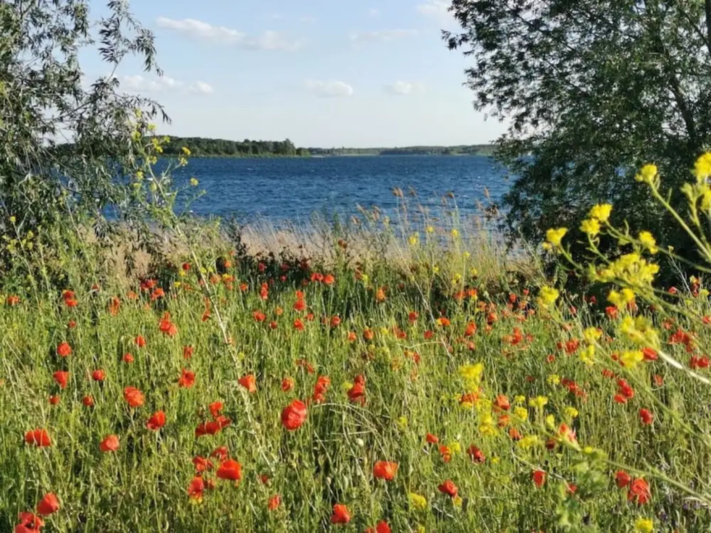 Sea Domicile Goitzsche