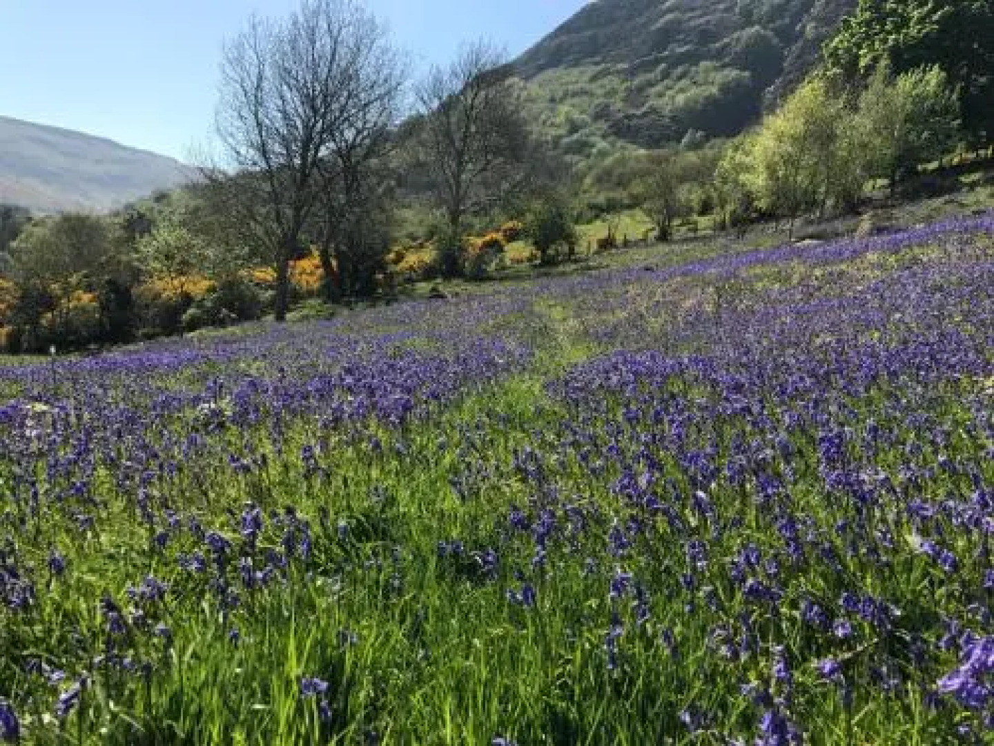 Ballymacdoe Cottage Cushendall