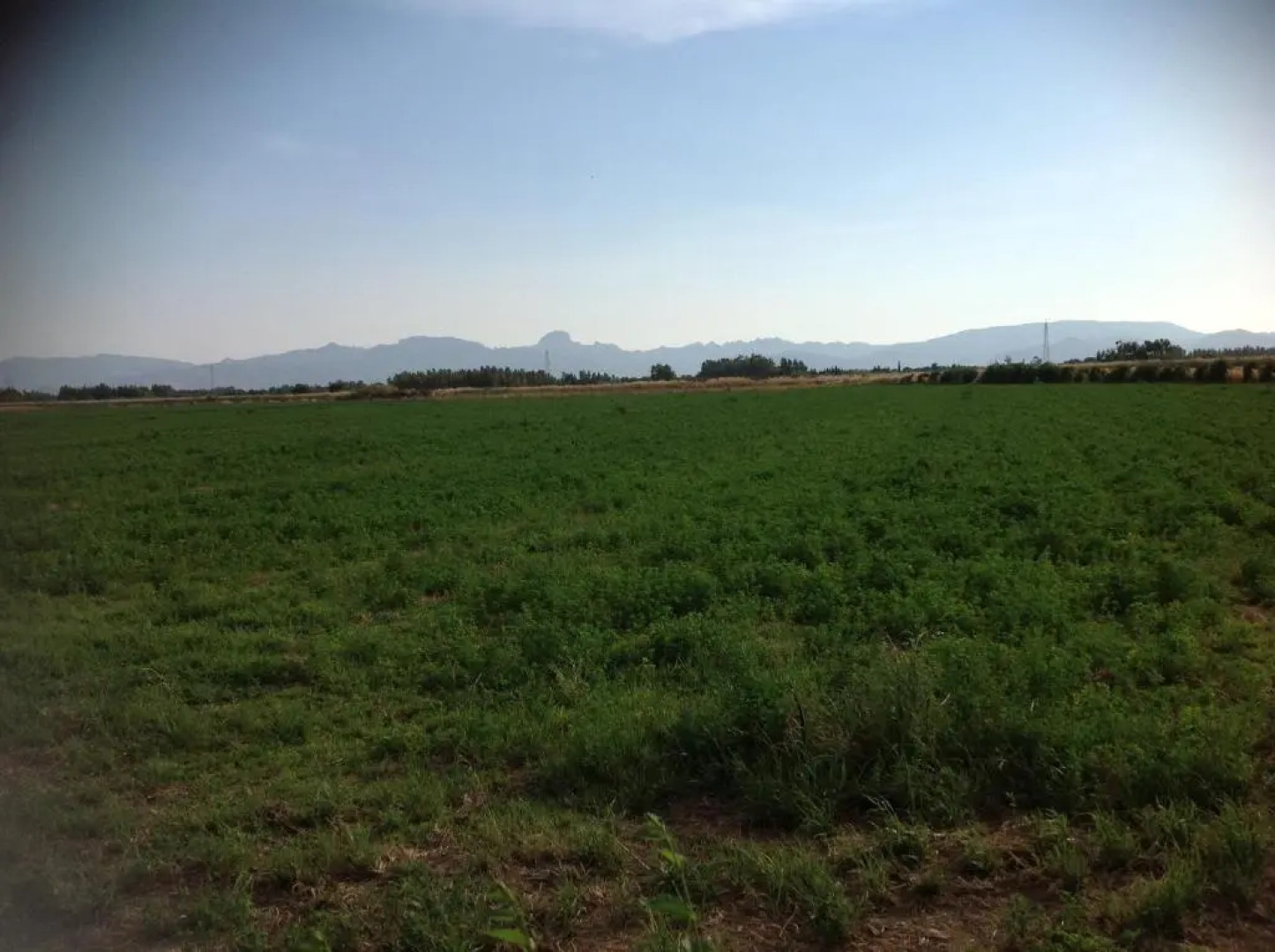 Pisceneris Holiday Home