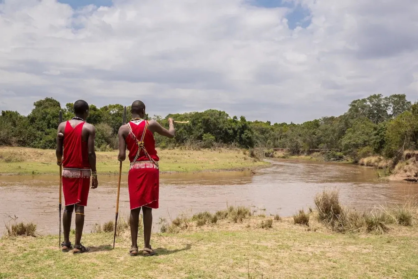 Hammerkop Migration Camp